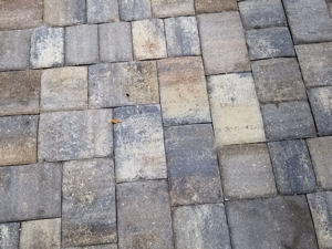 Pavers