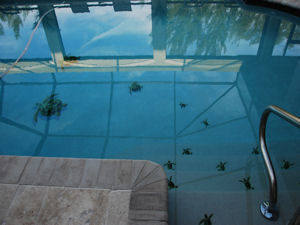 Custom Mosaic Design